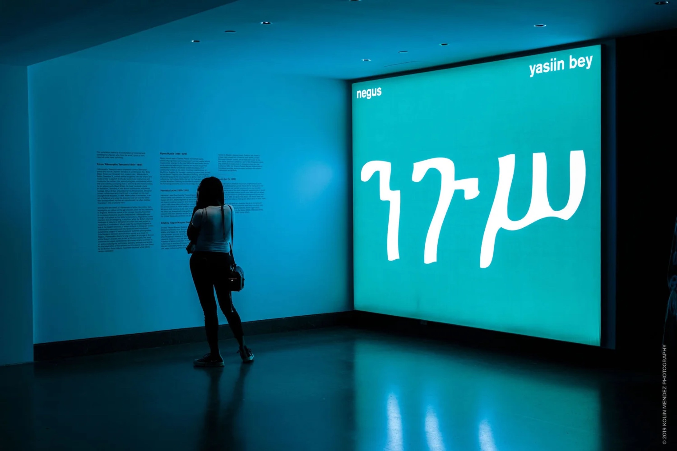 Visitor standing before the Negus title wall at Brooklyn Museum